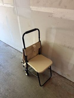 Grocery cart/ seat