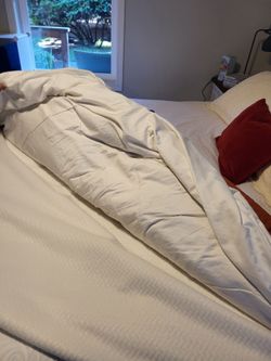 Basi king size bed frame and mattress