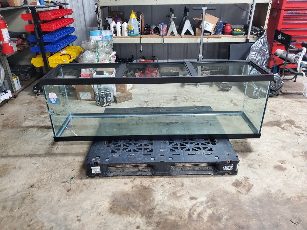 Large Reptile Aquarium