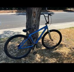 29” SE Bikes Big Ripper