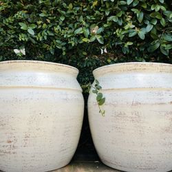Set of 2 Extra Large Arezzo Pot Planters