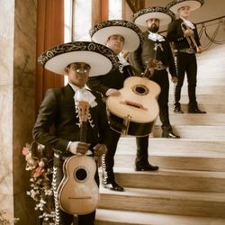 Violin Mariachi