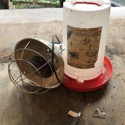 Feeder And Light