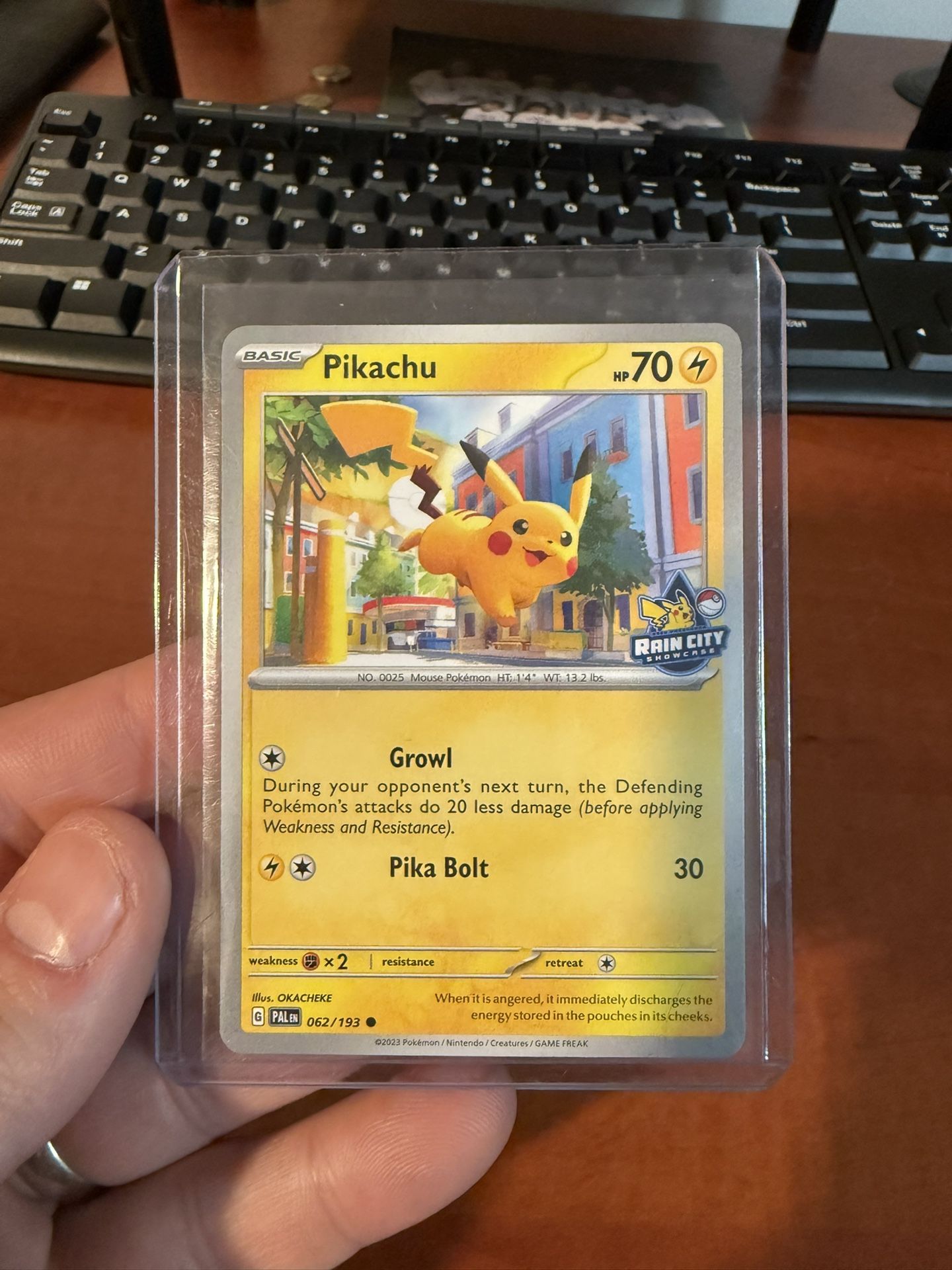 Pikachu- Rain City Showcase