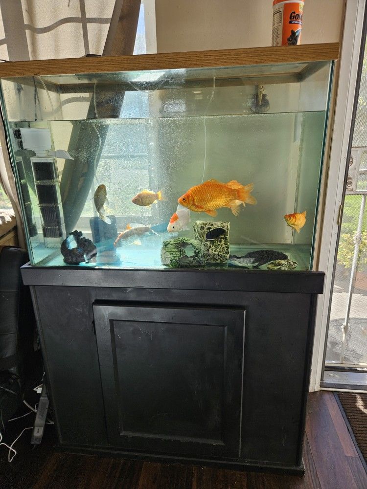 Fish Tank And Stand
