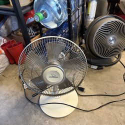 Oscillating Fan