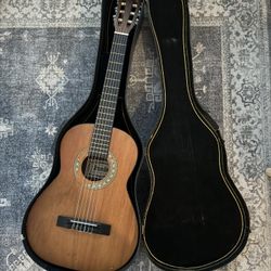 Acoustic Guitar - Gremlin G10N