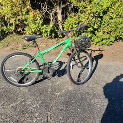 Granite Peak Roadmaster Bike