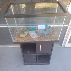 20 Gallon Fish Tank