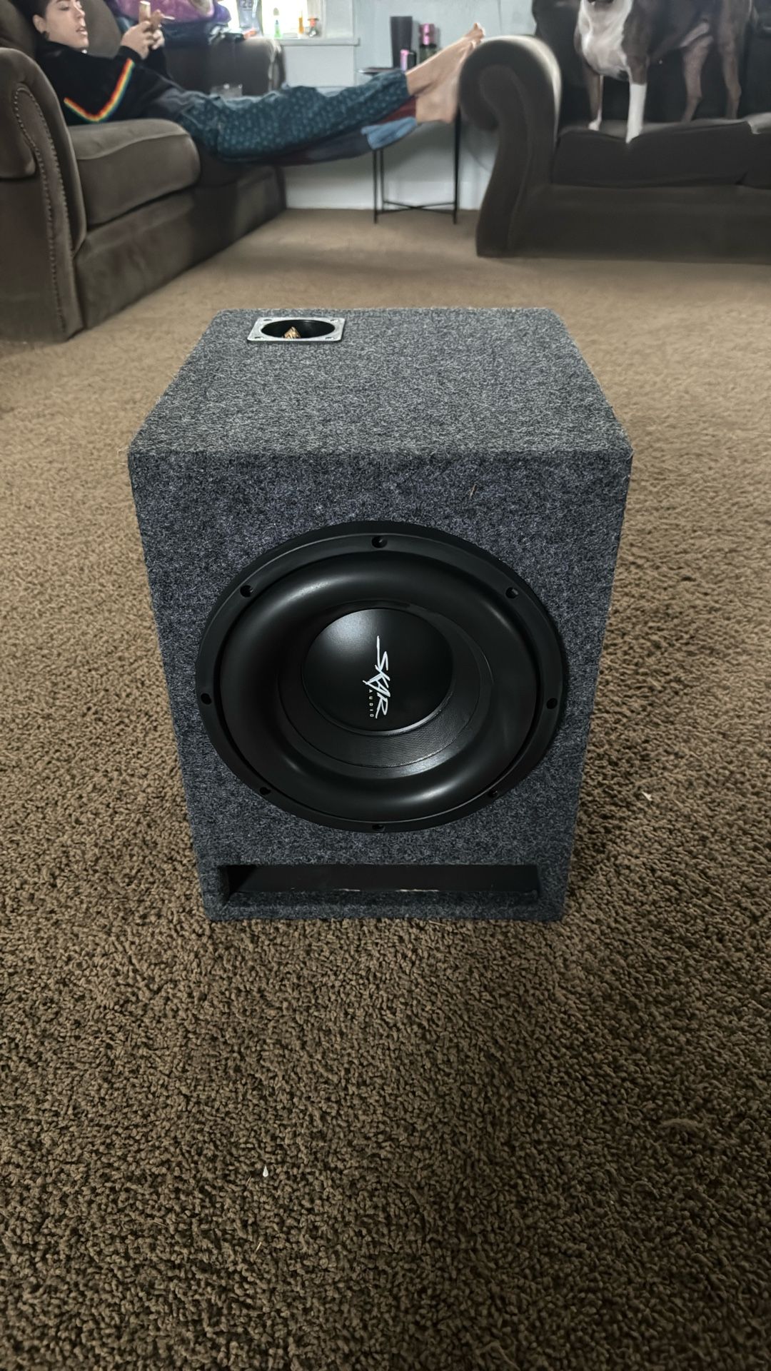 10” Skar Sub + Boss Mono Amp