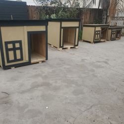 Casas Para Perro