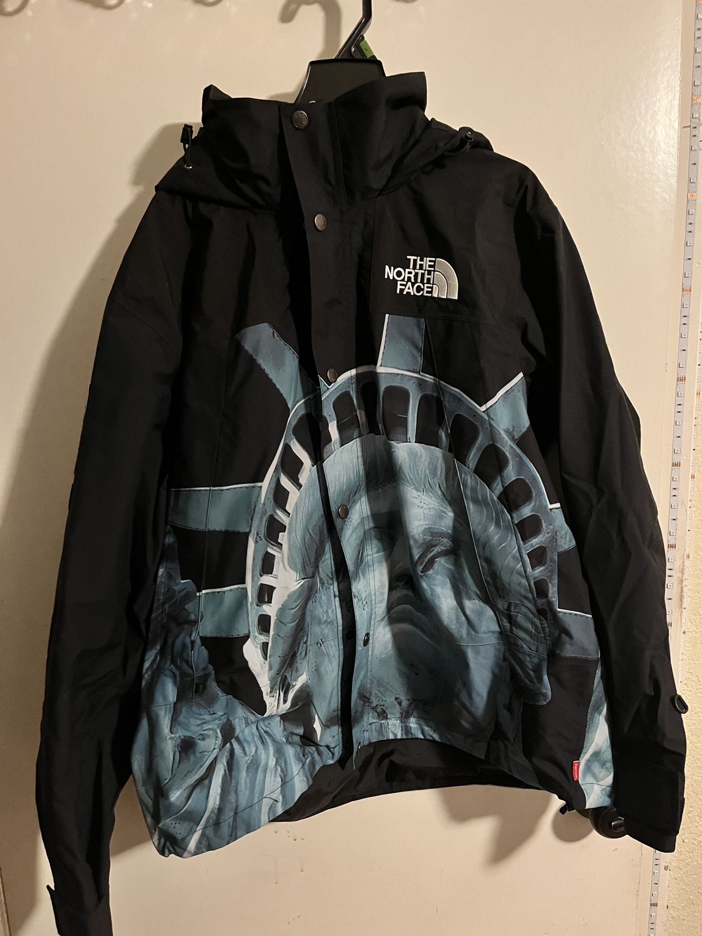 Supreme X The North Face