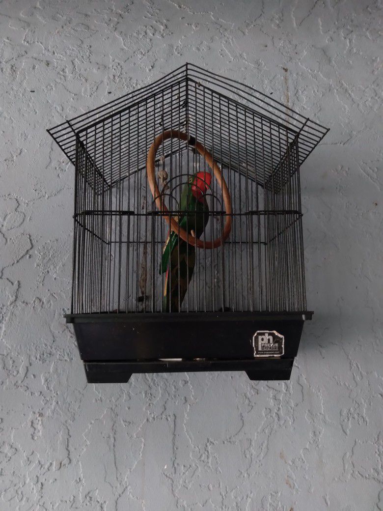 Small Bird Cage W/ Fake Wooden Parrot 