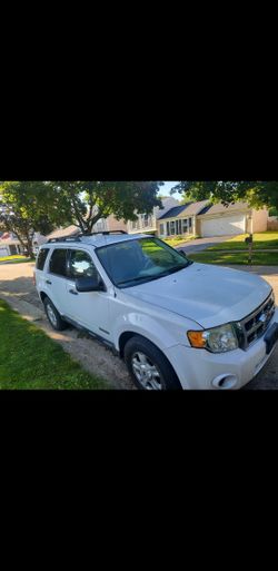 2009 Ford Escape