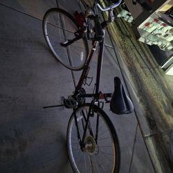 Bicycle  Diamond Bask 