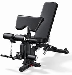 Functional Weight Bench with Leg Extension/Curl