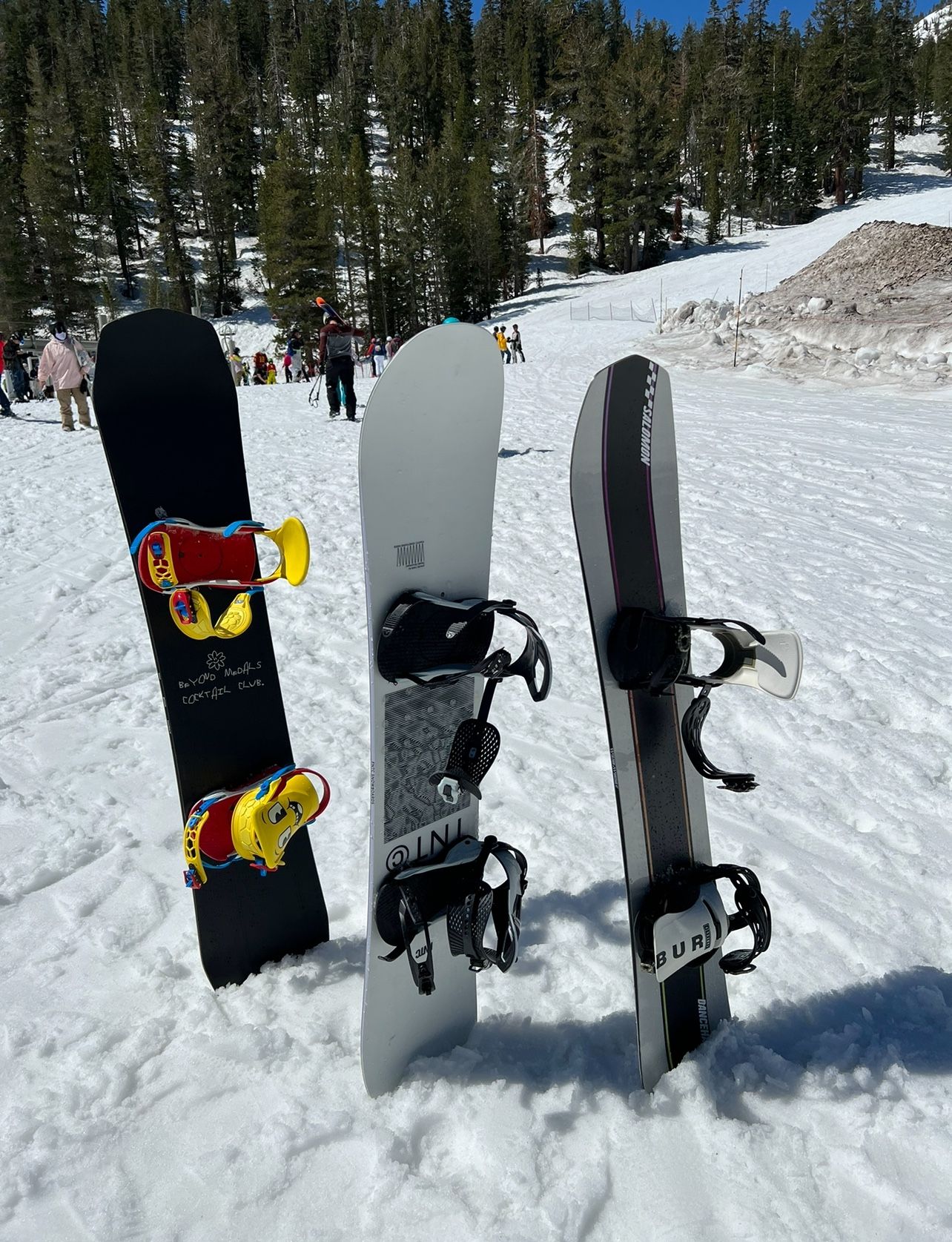 gogo88　FNTC TNTC 147cm メンテナンスします】FNTC TNTC BROWN 147-150-153-157cm エフ