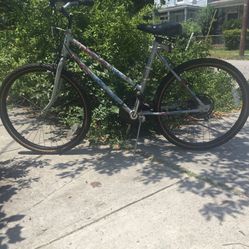 Schwinn Bicycle 