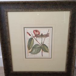 Frame Dragonfly Art Prints
