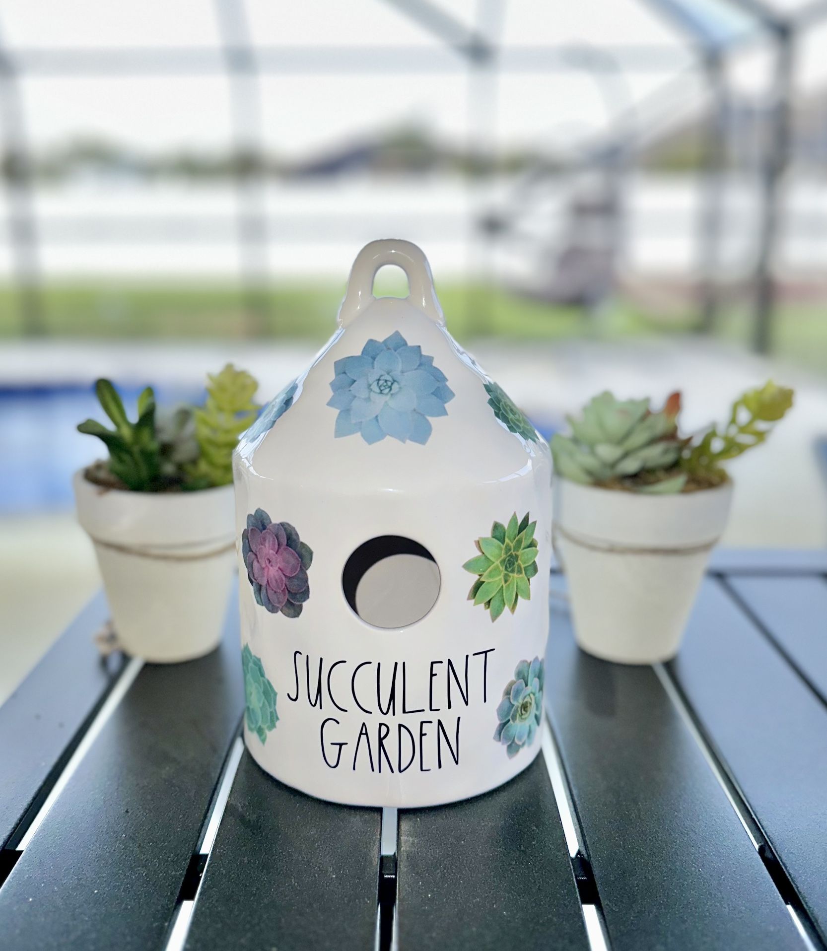 Full Size Succulent Garden Birdhouse New Round