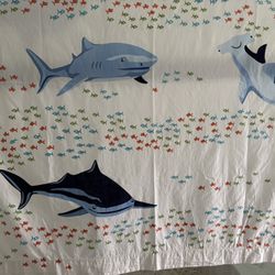 Pottery Barn Kids Shark Shower Curtain 