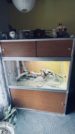 Reptile Habitat