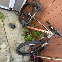 Trek Bike