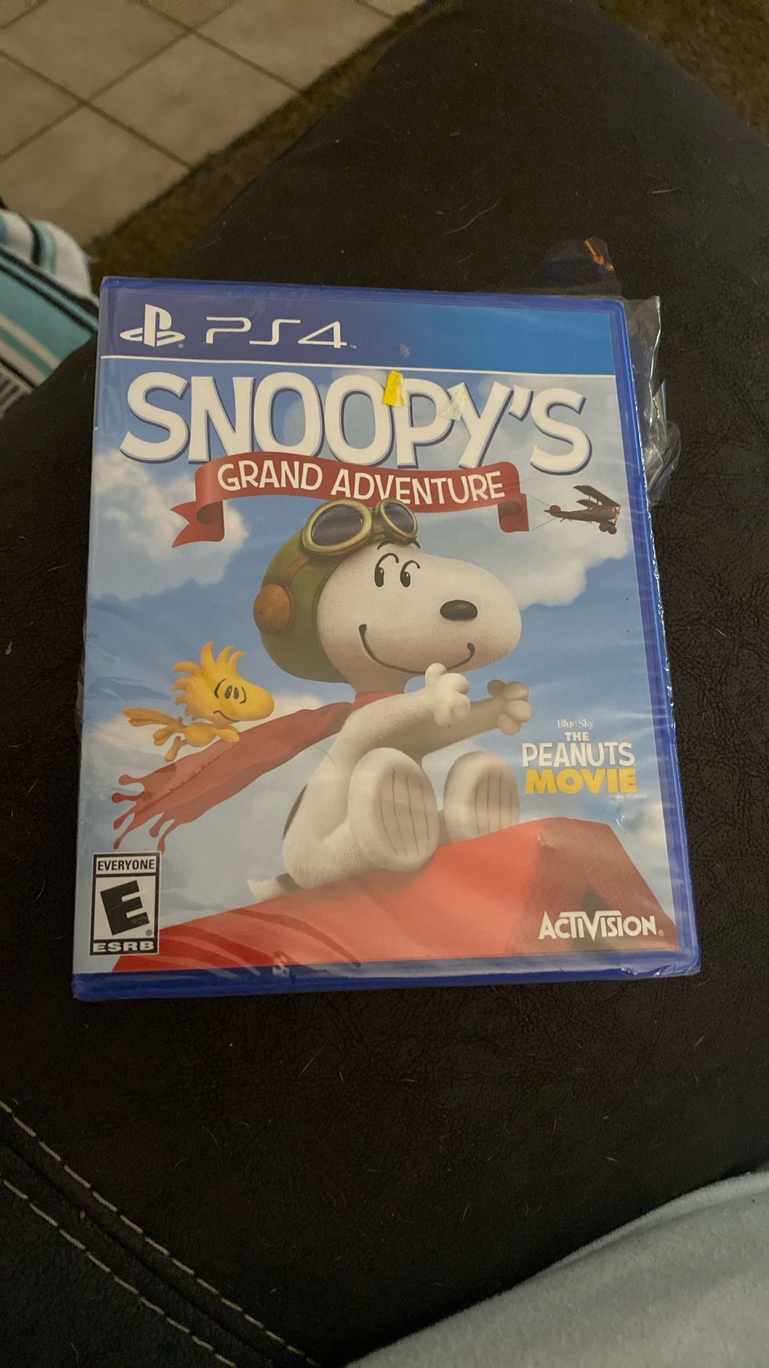 Video Game