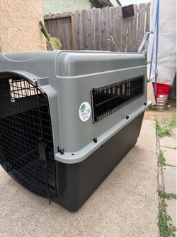 Pet Kennel