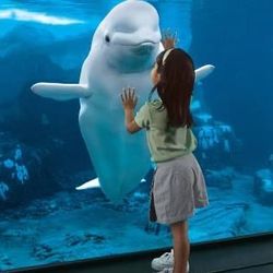 ✨🎡🐬 LABOR DAY WEEKEND – SEAWORLD + SESAME STREET FUN! 🐠🎶🌟🎟️