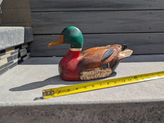 Decoy duck
