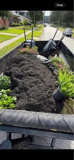 Plants mulching