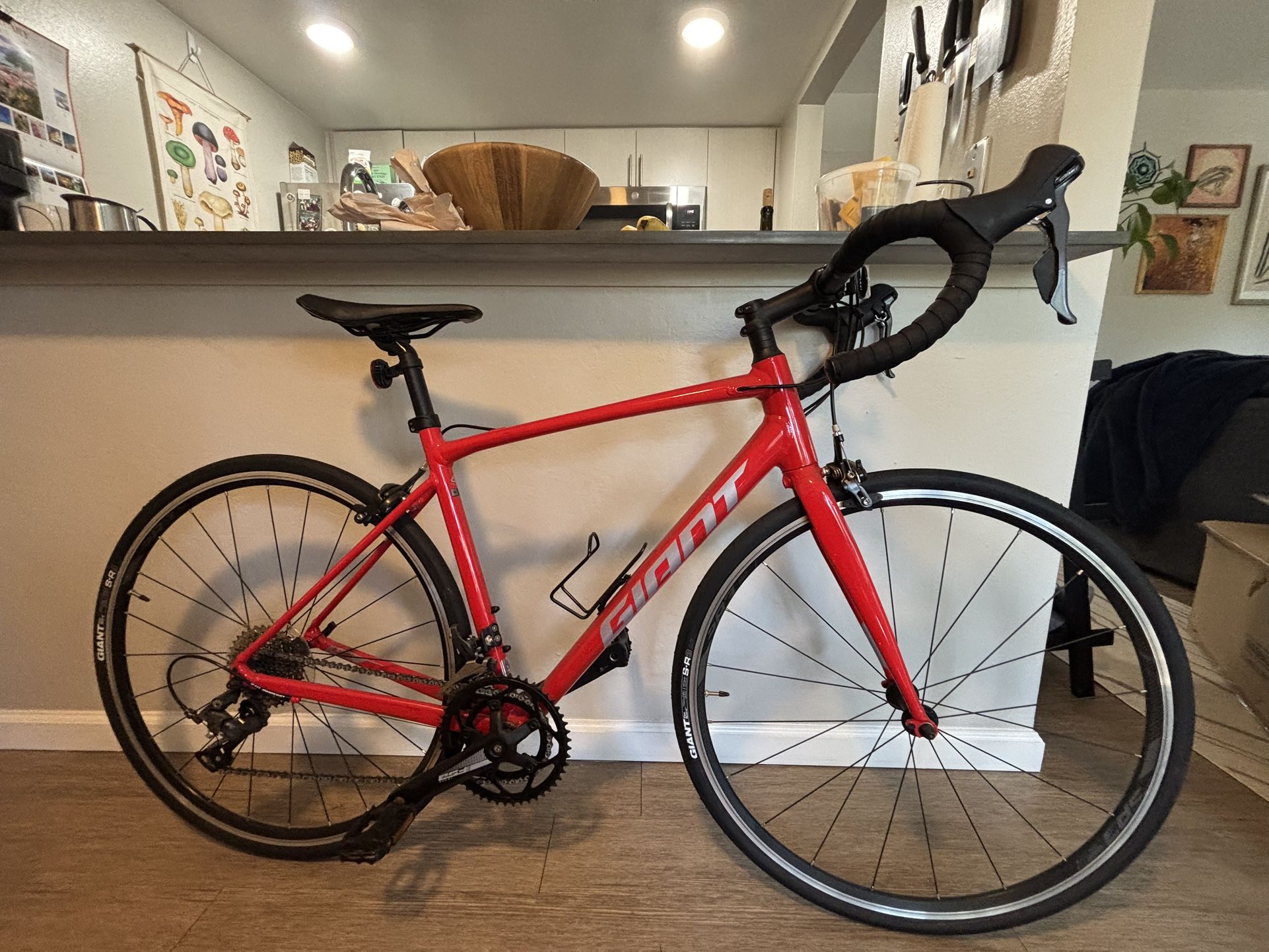 Giant Bike