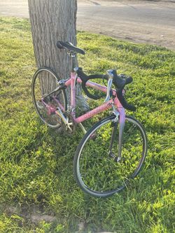 2006 Trek Pilot 5.2 WSD road bike