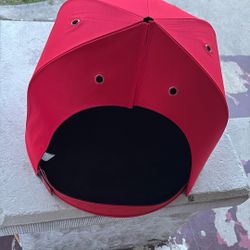 Los Angeles Clippers Dog Bed Hat Frame 