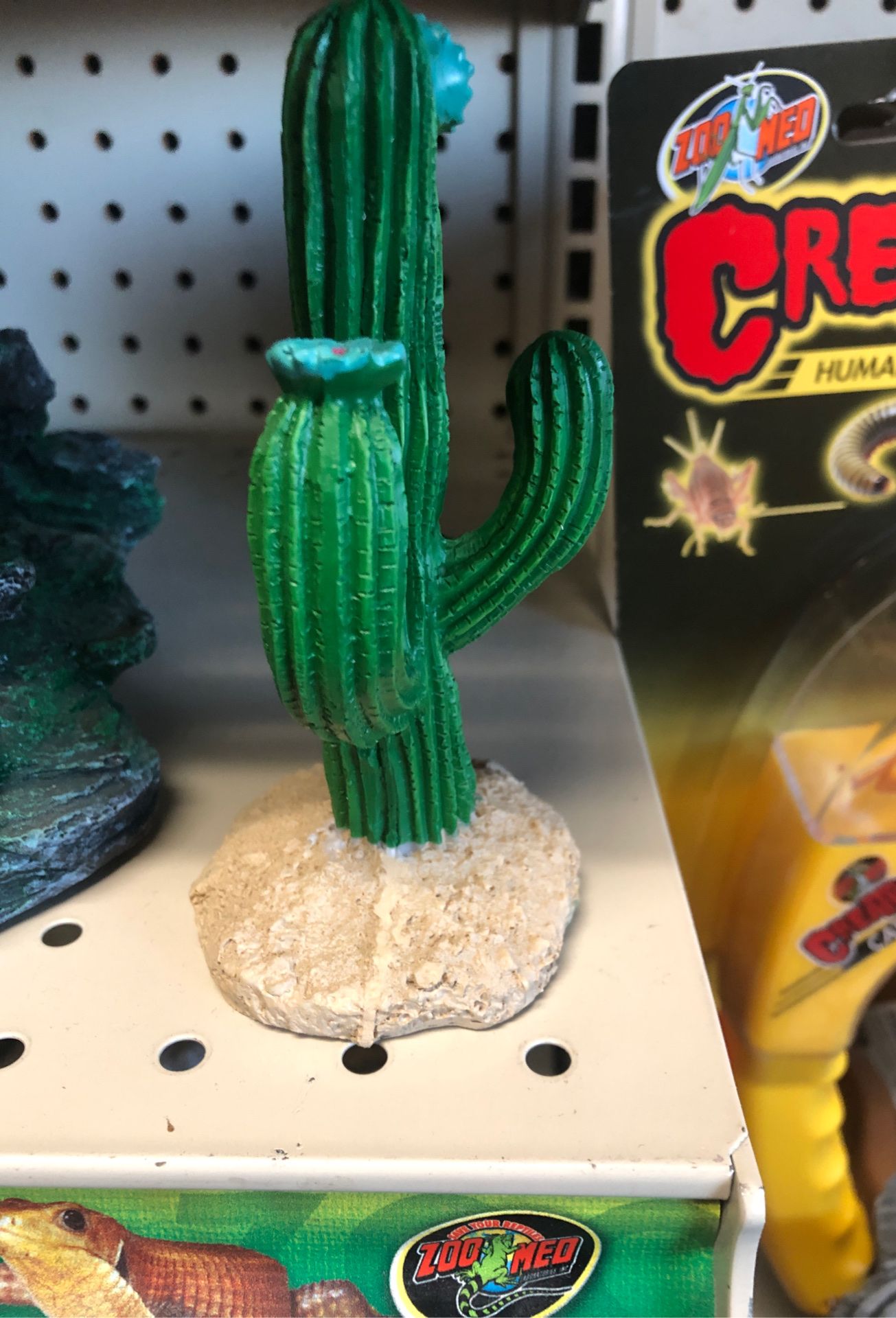 artificial cactus