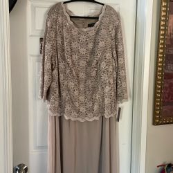 Plus Size ALEX EVENINGS Gown 