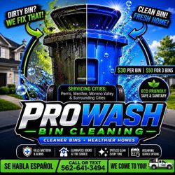 Trash Bin Cleaning Package