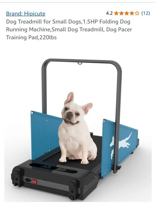 Dog Treadmill