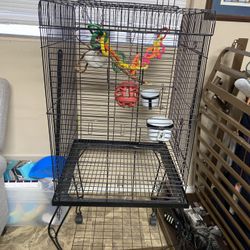 Bird Cage