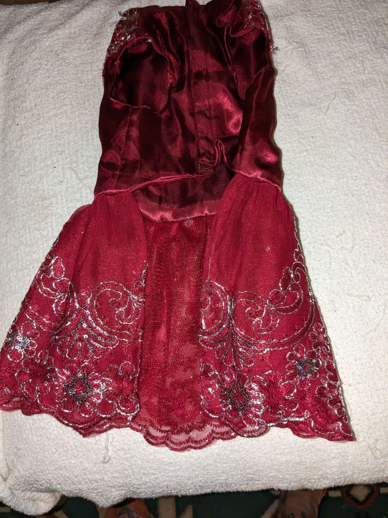 (2) Fancy Dresses For Your Pups