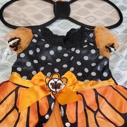 Baby Butterfly Costume