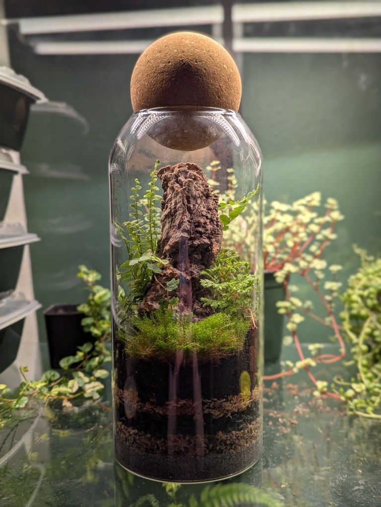 Modern Terrarium