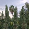 Kendall Nursery