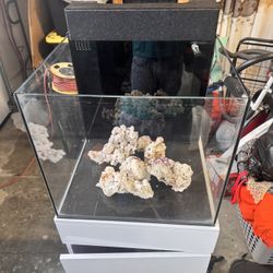 Waterbox 20 Gallon Aio Reef Fish Tank 