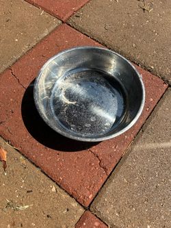 Pet bowls