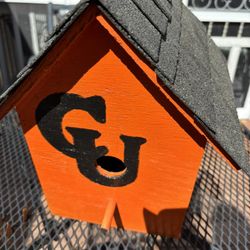 Camel University birdhouse