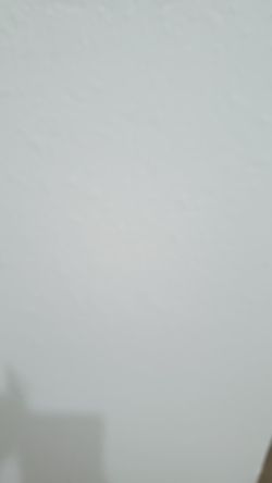 Bo Jackson rare card