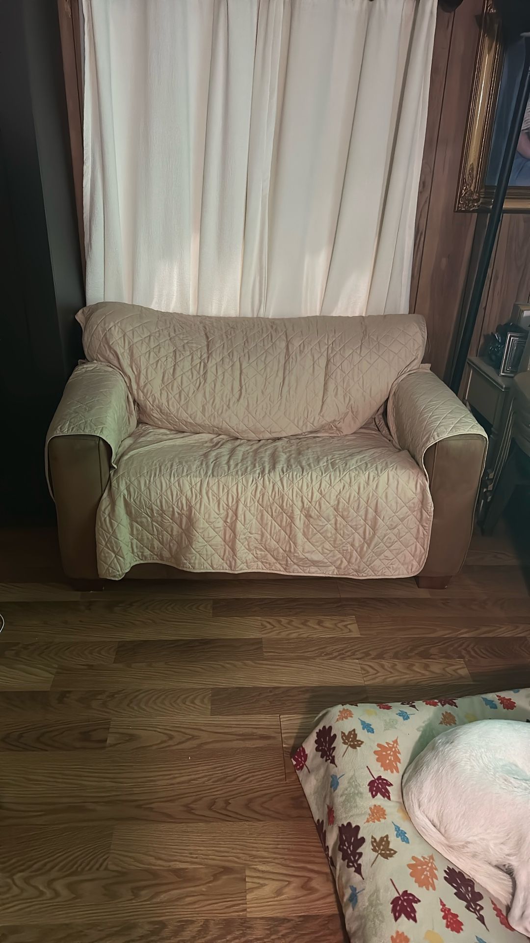 Sofa Bed Couch