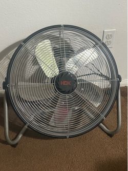 Fan